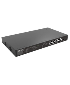Ruiji RG-ES118GS-P