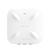 Ruiji RG-RAP6260(H)