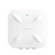Ruiji RG-RAP6260(H)